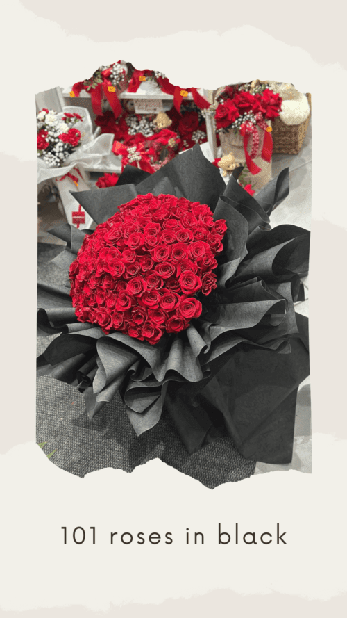 101 ROSES IN BLACK - Cvjećara Orhideja